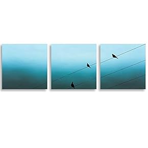 3 Piece Canvas Wall Art Brids Painting Artwork for Home Prints Framed - 12"x12"x3 Panels