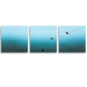 3 Piece Canvas Wall Art Brids Painting...