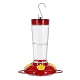 Joliyoou Hummingbird Feeder, 10 Ounce Glass