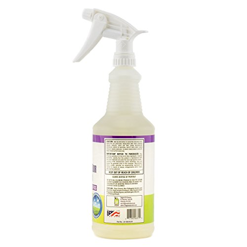 Pet Urine Stain & Odor Enzymatic Cleaner Spray 32 oz Cat & Dog Stain