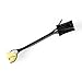 Eagle Lights Wire Harness Adapter for 2014 and Newer Harley Davidson Motorcycles