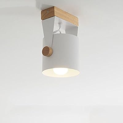 Ludry Modern Minimalist Wood Iron Ceiling Lamp Colour Paint Body