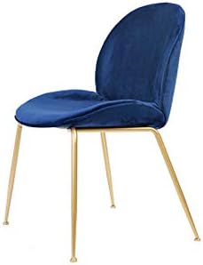XINGPING-Furniture Net Red Chair Nordic Restaurant Iron Art Household Modern Simple Dining Chair Nail Stool Beetle Backrest Chair (color : Blue)