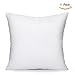 EVERMARKET Square Poly Pillow Insert, 18