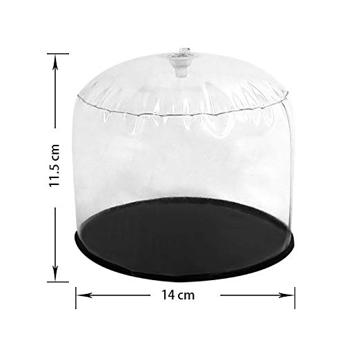 2 SUNSHINEMALL+6+7x5+9+Inflation+Inflatable+Transparent