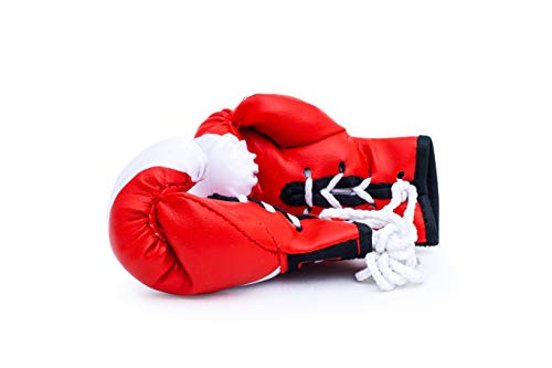 image for Pro Impact Mini Boxing Gloves - Miniature Punching Gloves - Holiday Ch