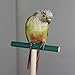 Bird Perch，Parrot Wooden Stand for Cage，Birdcage Play Stand Rack，Cage Toy for Beak Paw Grinding Stick，Natural Beech Branch，Travel Portable Pet Bird Carrier Stand for Parakeets Cockatiel Conure Budgiethumb 3