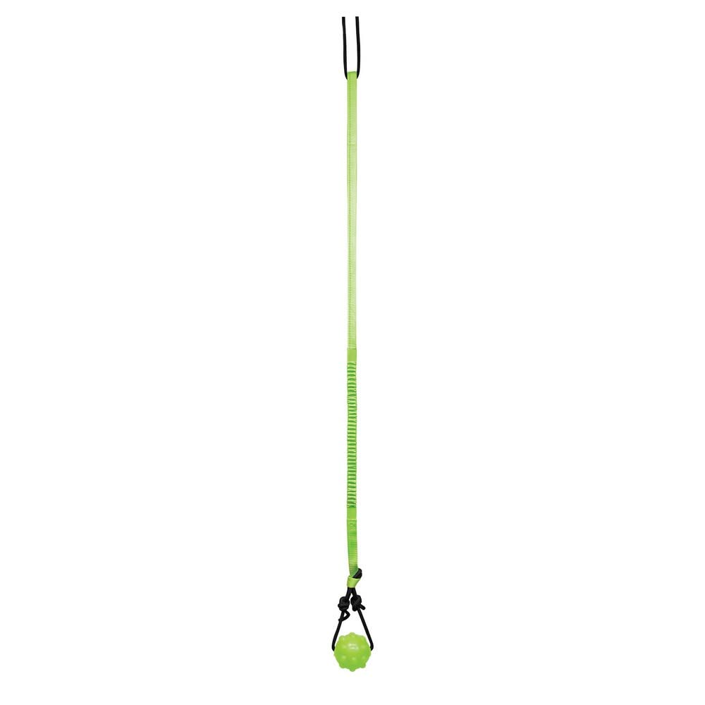 Jolly Pets Tree Tugger,Green