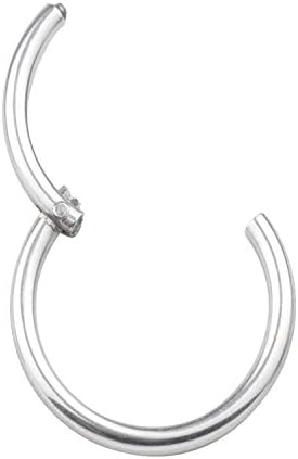 FB 16G 10mm 316L Stainless Steel Seamless Nose Ring Hoop Hinged Body Piercing Earring Hoop Clicker Ring