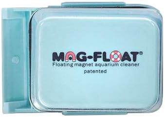 live glofish walmart