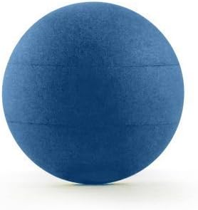 gold's gym exercise ball