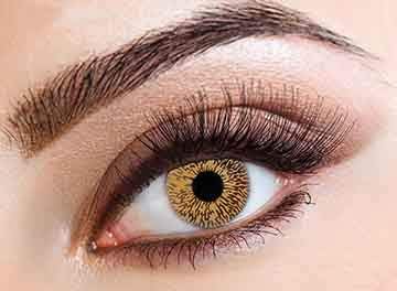 Chocolate Brown 1 Tone Eye Accessories for Make Up