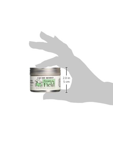 From The Field 2-Ounce Can You Resist Catnip Pellet Tin Can