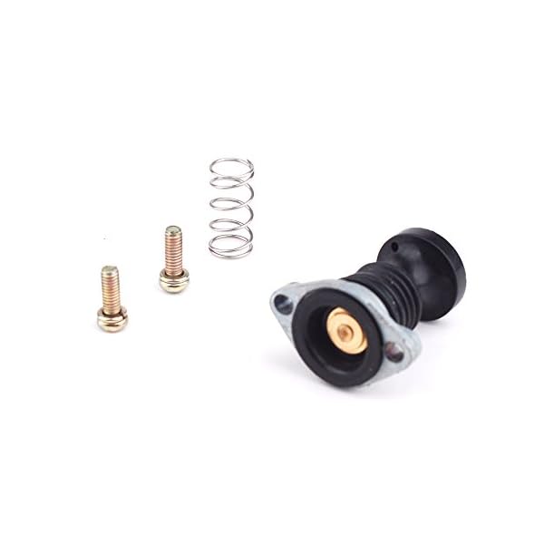 Carburetor-Primer-Pump-Spring-Screws-Kit-for-Honda-Fourtrax-TRX-300-1988-2000
