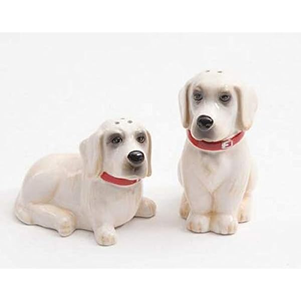 pioneer woman lucy cookie jar