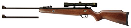Beeman RS1 Dual-Caliber Air Rifle Combo air rifle