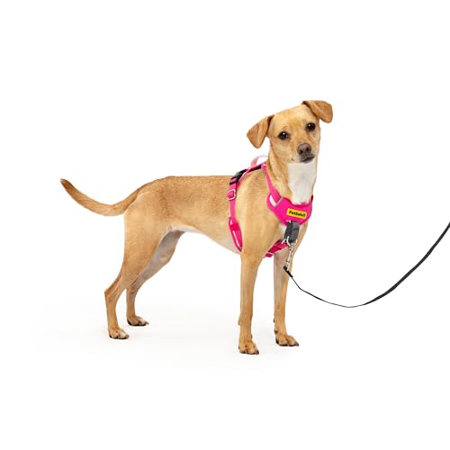 PetSafe Easy Walk Comfort No-Pull Dog Harness Full-Body Padding - Better Walks on 1st Use - 5 Points of Adjustment, XS, Small, Medium & Large Dogs, Blue/Black/Green/Pink