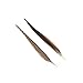 Pheasant Tail Feather Craft Supplies - 14-18