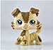 Grea Store Littlest Pet Shop LPS Pet Collie Dog Child Girl Figure Toy Loose Cute lps