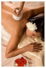 Sa-Wan Thai Herbal Ball - Large by Therapy Best Buys