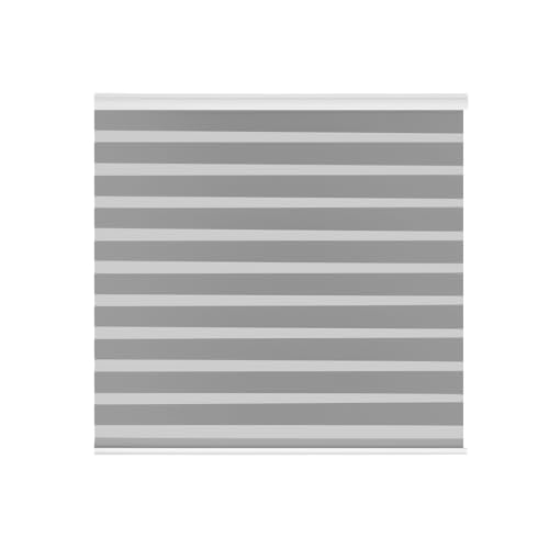 OSLIFE Persianas Enrollables para Ventana, Ajustables Cortinas Blackout para Recamara,Control de Densidad de Luz,Vertical de Doble Capa Estilo Cebra,Cocina,Sala,Oficina (Gris, 160An x 180Al cm)