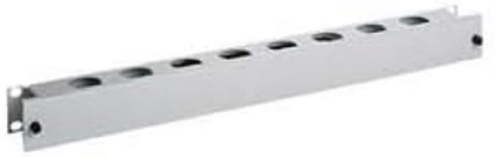 Schneider pda - mvd 10 80 19 inch Front Plate 2HE with Steel Cable Duct in RAL7035, Leopard, L