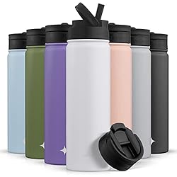 JoyJolt Triple Insulated Water Bottle with Straw