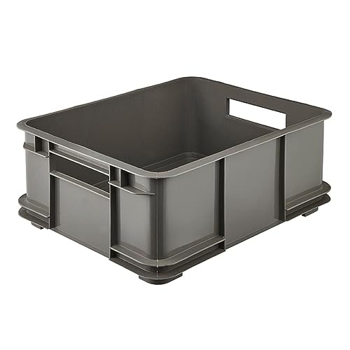 keeeper Boîte de Rangement avec Poignées, Boîte Euro L, Procyclen, 20,5 L, Bruno Eco Line, Eco Gris