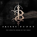 Disco de Skinny Puppy: «Greater Wrong of the Right» (Anverso) Disco de Skinny Puppy: «Greater Wrong of the Right» (Anverso)