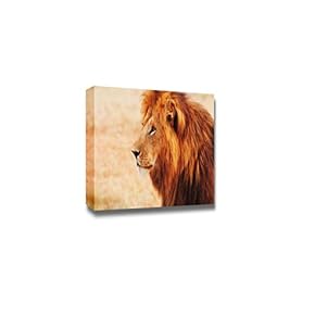 Canvas Prints Wall Art - Wild Life Male Lion Portrait in Masai Mara, Kenya | Modern Wall Decor/Home Decoration Stretched Gallery Canvas Wrap Giclee Print & Ready to Hang - 12" x 18"