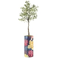 SIGNWIN Eucalyptus Tree with Blue Hummingbird and Multicolor Magnolia Flowers Birds Plants Minimalism Zen Colorful Ultra for Living Room, Bedroom, Office - X-Large 5 Feet (60
