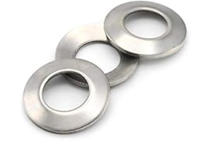 ALBANYCOUNTYFASTENERS Belleville Washers Conical Disc Spring Cup Washers 18-8 Stainless Steel 5/16" Qty 100