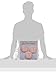 Beistle 3-Pack It's a Girl! Paper Lanterns, 9-1/2-Inch, pink/white (54575)