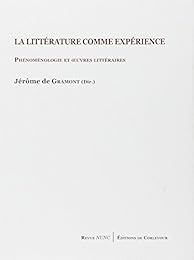 La  littérature comme expérience
