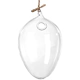 Soledi Hanging Round Egg Glass Clear Flower Vase Hydroponic Container Home Decor