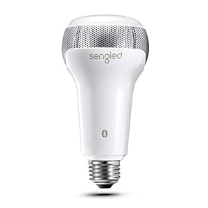 light bulb with speaker built in