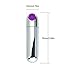 Vsshe Bullet Viberate Toys with USB Rechargeable & Waterproof & 10 Speed & Purple