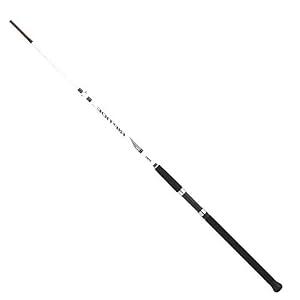 Mitchell Canne Riptide Rz Dorade – 130, 210, 6, 110, 50-150