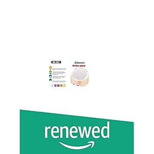 (Renewed) R-NXT RX-507 Wireless Speaker