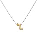 Initial Letter Necklace,Haluoo Stainless Steel Initial Letter Penadnt Necklace Dainty Tiny Heart Charm Choker Necklace Gold Plated Long Sweater Chain Necklace For Women Girls Birthday Gifts (L)thumb 2