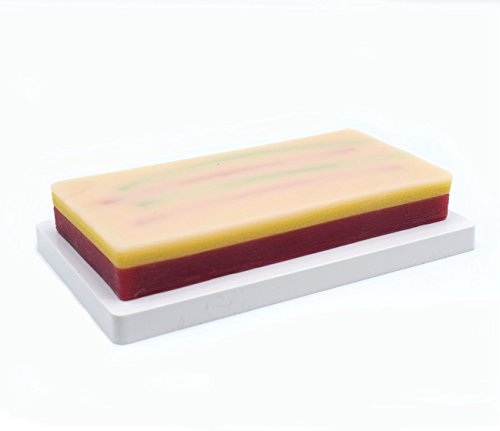 Training Suture Pad Practice Skin Model with Anti-Slip Rubber Base, 3 Layers, Reusable For Student Nurse,Reusable and Durable(7" X 3.5" X 1")