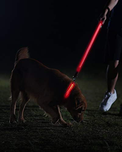 LED Dog Collar - USB Rechargeable - Available in 6 Colors & 6 Sizes - Makes Your Dog Visible, Safe & Seen - Red, Large (19 - 24" / 49 - 61cm)