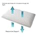 OrganicTextiles Natural Latex Pillow with Organic Cotton Cover (Queen Size, Medium), Bed Pillow for Sleeping, Neck Pain Relief Help, Head Support, for Side Back Stomach Sleeper
