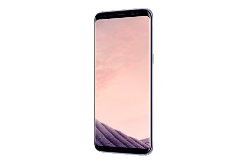 Samsung Galaxy S8, Smartphone libre (5.8'', 4GB RAM, 64GB, 12MP) [Versión francesa: No incluye Samsung Pay ni acceso a promociones Samsung Members], color Gris