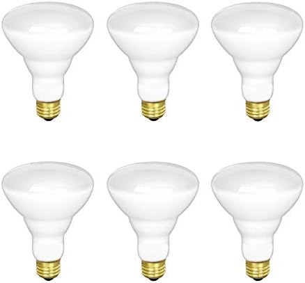 BR30 Incandescent Flood Light Bulb, 65W, 2700K Soft White, 580 Lumens, E26 Medium Base, 130V, (6 Pack)