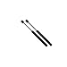4366 Jeep Liberty Hood Lift Support Strut 2002-05, Set of 2