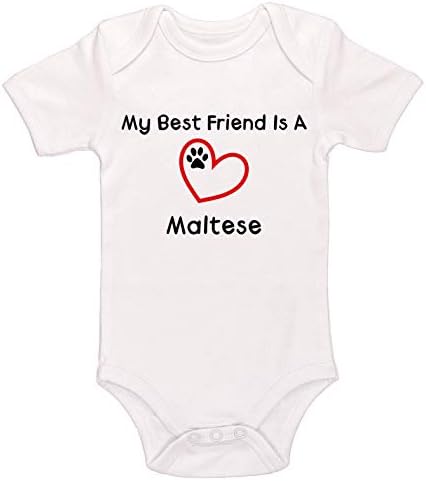 Kinacle My Best Friend is A Maltese Baby Bodysuit