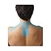 SpiderTech - Neck Spider - Precut Kinesiology Tape - 4 Colors