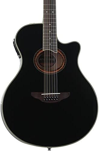 Amazon.com: Ibanez AEG50 Acoustic-Electric Guitar - Black High