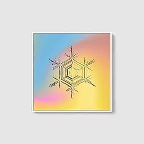 Framed Canvas Wall Art for Living Room, Bedroom Snowflake Theme Canvas Prints for Home Decoration Ready to Hang - 16x16 inches